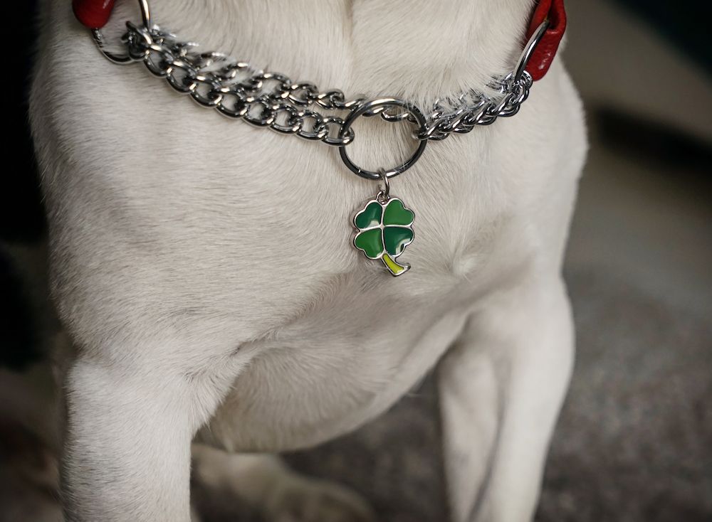 Question of the Week